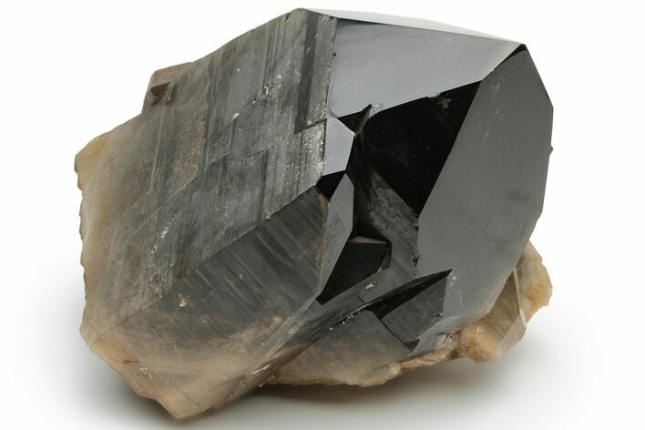 Natural Smoky Quartz Crystal Cluster - Brazil #231303